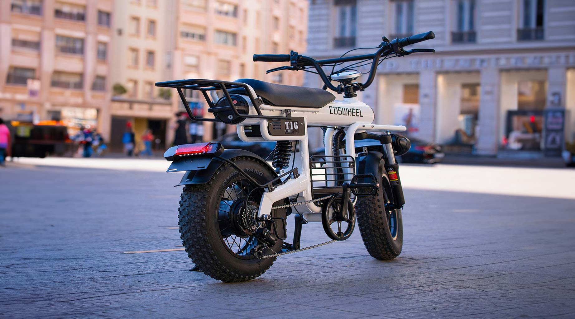 Electric Bike